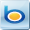 Bing Maps Icon